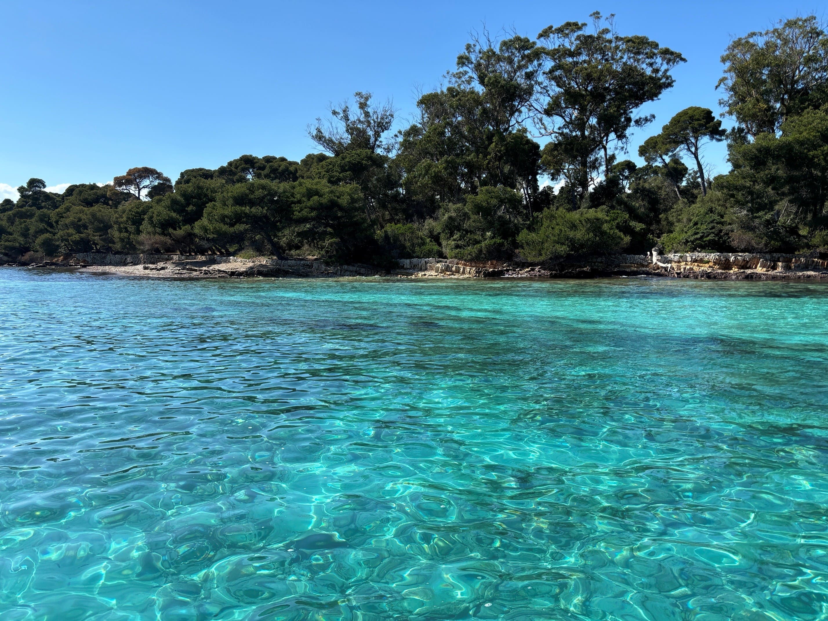 ile 2.jpg